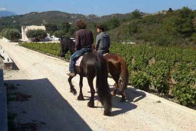 Rhodes Wine & Food Tour: 10 Meal Course Lunch, Wine Tasting, Cooking Class