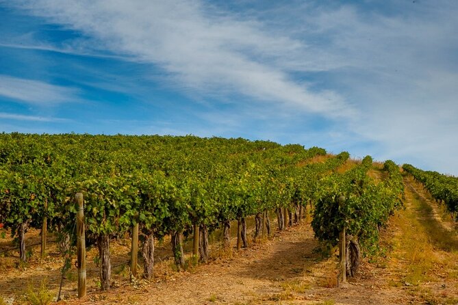 Rhodes Wine & Food Tour: 10 Meal Course Lunch, Wine Tasting, Cooking Class - The 10-course Rhodian lunch