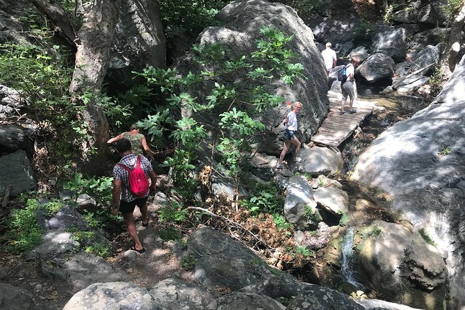 Richtis Waterfall, History, Azoria, OliveTasting, NorthCoast - Starting from Agios Nikolaos in a small 4x4