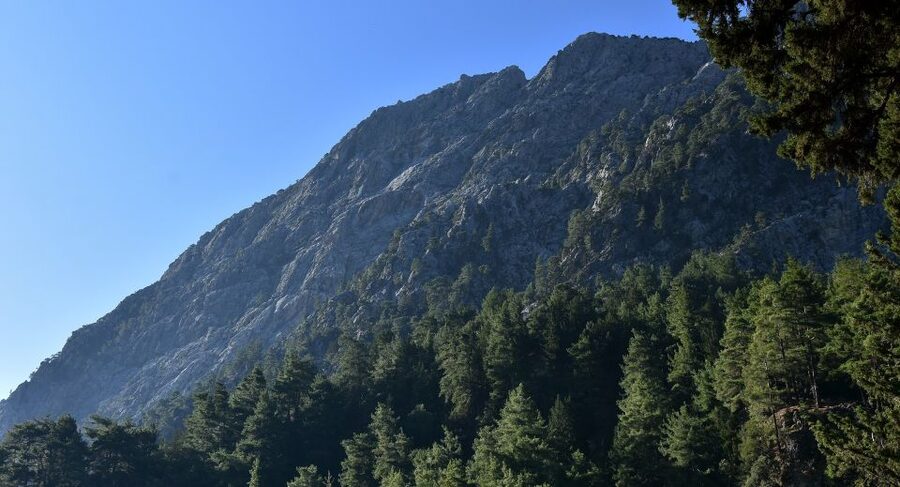 Samariá Gorge Hike: Day Excursion from Chania - What the route feels like on your body