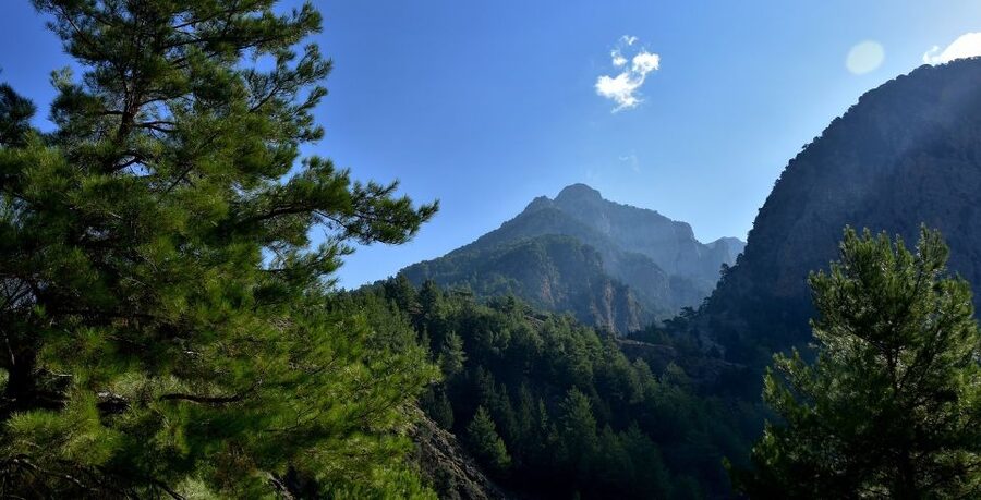 Samariá Gorge Hike: Day Excursion from Chania - Reaching Agia Roumeli