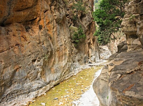 Samaria Gorge Hiking from Chania with Professional Hiking Guide - Group size, crowds, and the long ride home