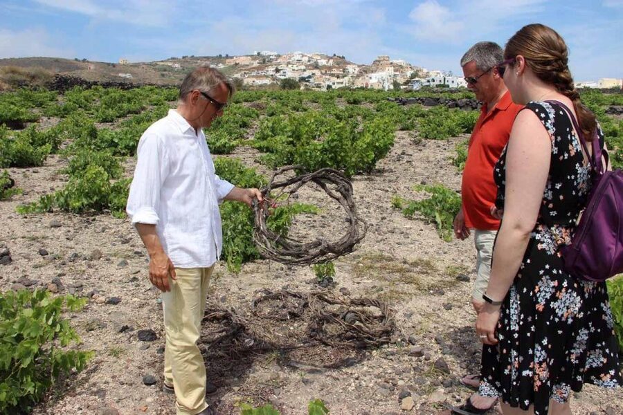 Santorini: 5-Hour Private Wine Tour - What you will actually taste