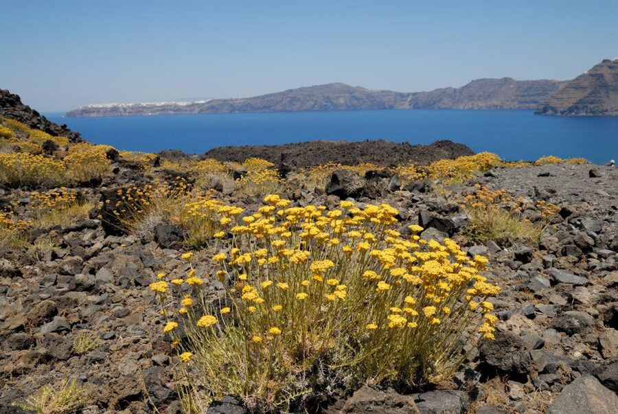 Santorini Caldera: Sunset Cruise with Dinner - Buffet dinner with the caldera around you