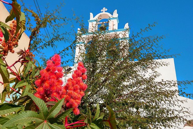 Santorini Day Tour with Sunset in Oia - Wine tasting with limited time