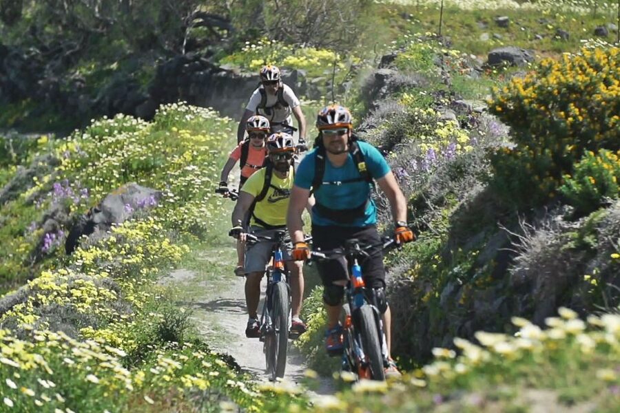Santorini: Electric Mountain Bike Adventure - Vlichada Port and the private beach finish