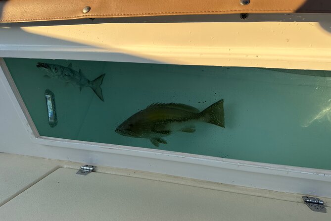 Santorini Fishing Private Cruise boat tour - BBQ, Snorkeling - Lunch made from the day’s catch