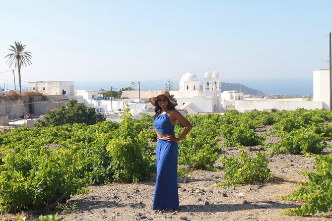 Santorini Highlights Private Tour - Red Beach and Perivolos: two very different shores