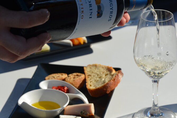 Santorini Highlights Small-Group Tour with Wine Tasting option - The wine option at Artemis Karamolegos Winery