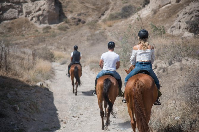 Santorini Horse Riding to Black Sandy Beach - What the horses and guides add to the experience