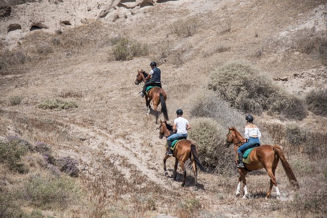 Santorini Horse Riding to Black Sandy Beach - Who should book this ride?