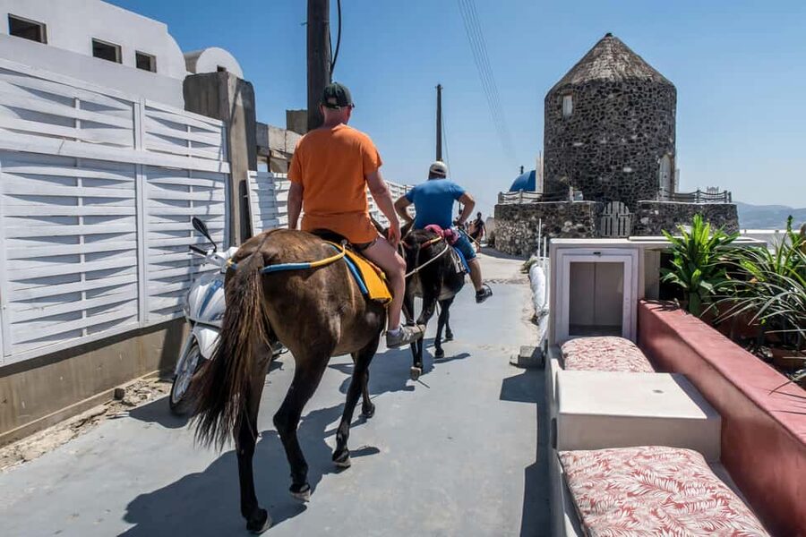 Santorini : Private Guided Highlights Tour - Who will get the most from this experience
