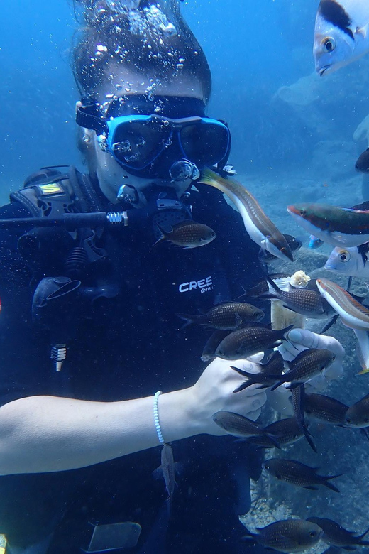 Santorini: Scuba Diving - Who should book this activity