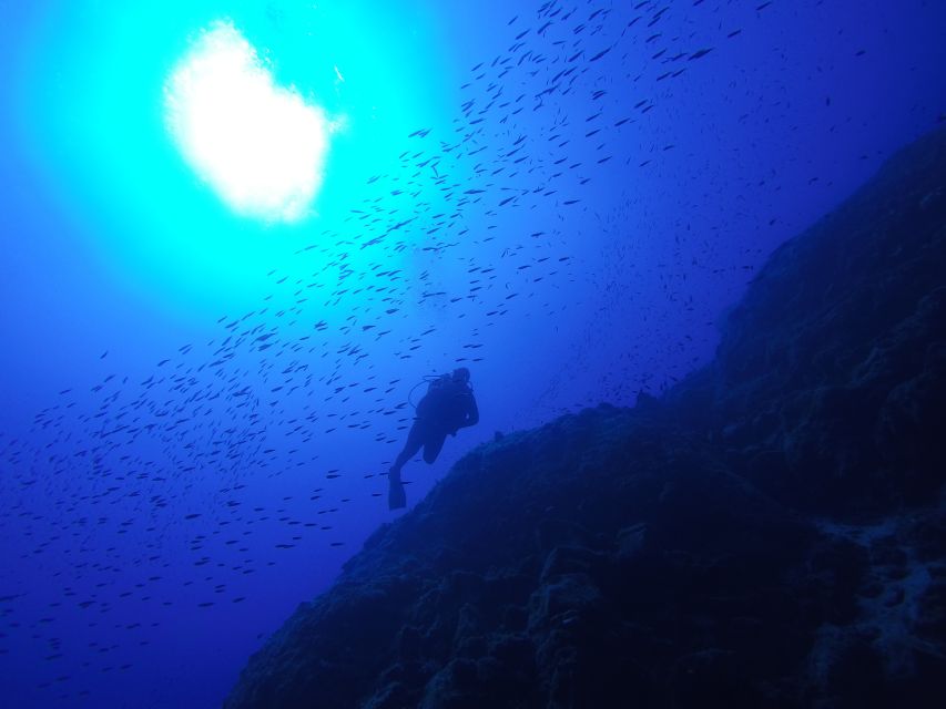 Santorini: Scuba Diving Experience for Beginners - What the four-hour schedule really includes