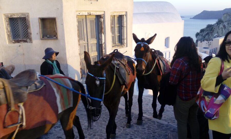 Santorini: Small-Group Highlights Tour of Venetian Castles - Oia sunset and the final castle walk