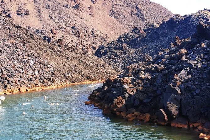 Santorini Volcanic Islands Cruise: Volcano, Hot Springs and Thirassia - What the $60.07 price really covers