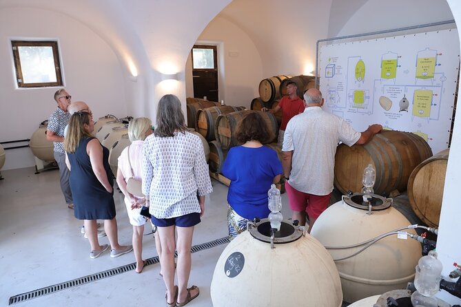 Santorini Wine Stories: Sunset Tour with Tasting & Dinner - Who should book this evening?