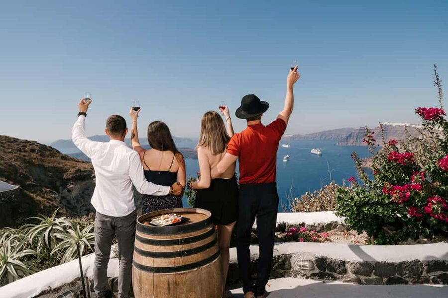 Santorini: Wine Tasting Tour to 3 Wineries with Transfer - Who will enjoy this tour most