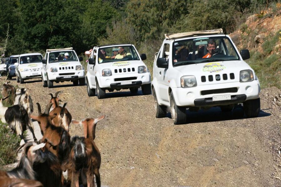 Self-Drive Jeep Safari to South Coast, Palm Beach & Canyons - The self-drive format, with a few important compromises