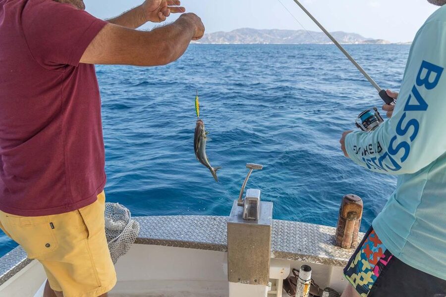 Shared Morning Cruise from Pollonia to Polyaigos - The value of $117 per person