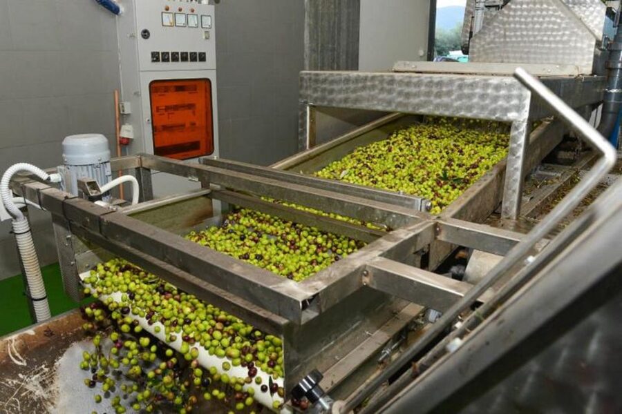 Short Tour of Olympia, an Olive Oil Press & St. Andrew Beach - A working olive press and a taste of local oil