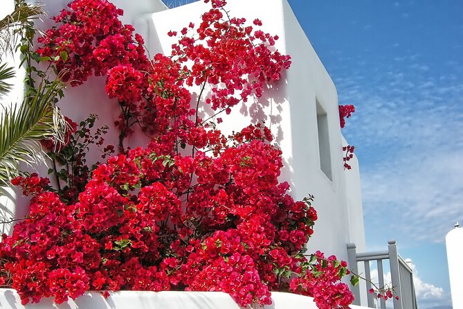Sightseeing like a Mykonian(Small Group or Private) - The value of $90.70 for a three-and-a-half-hour tour