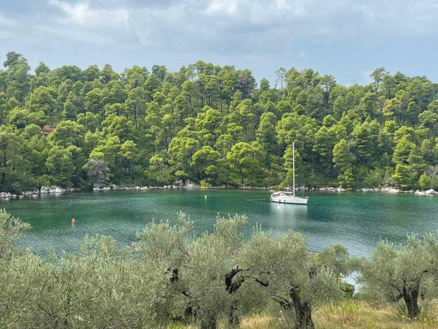 Skopelos: Mamma Mia Filming Locations Tour - Who should book this day out?