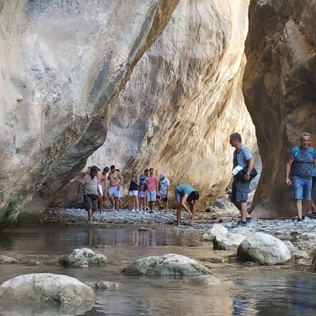 South Crete: Sarakinas Gorge Hike, Swim & Jeep Safari - Through Selakano Forest