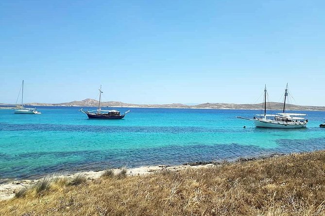 The Authentic Rhenia-Delos Cruise - Who Will Enjoy This Cruise Most