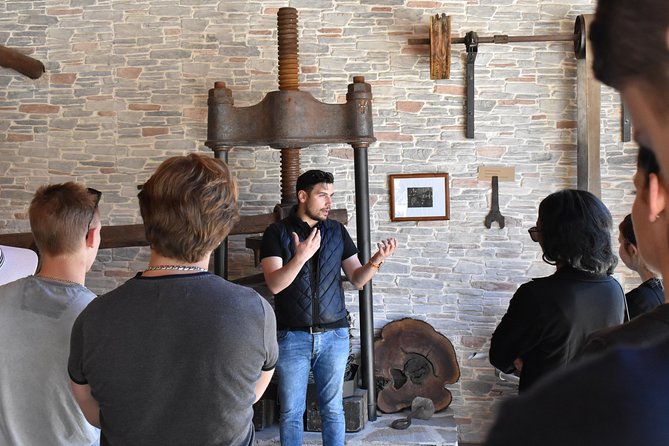 The Governor's Olive Mill Tour with Olive Oil Tasting - Why this olive mill visit is worth your time