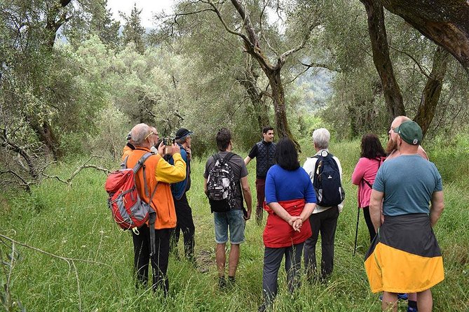 The Governor's Olive Mill Tour with Olive Oil Tasting - How the professional tasting works