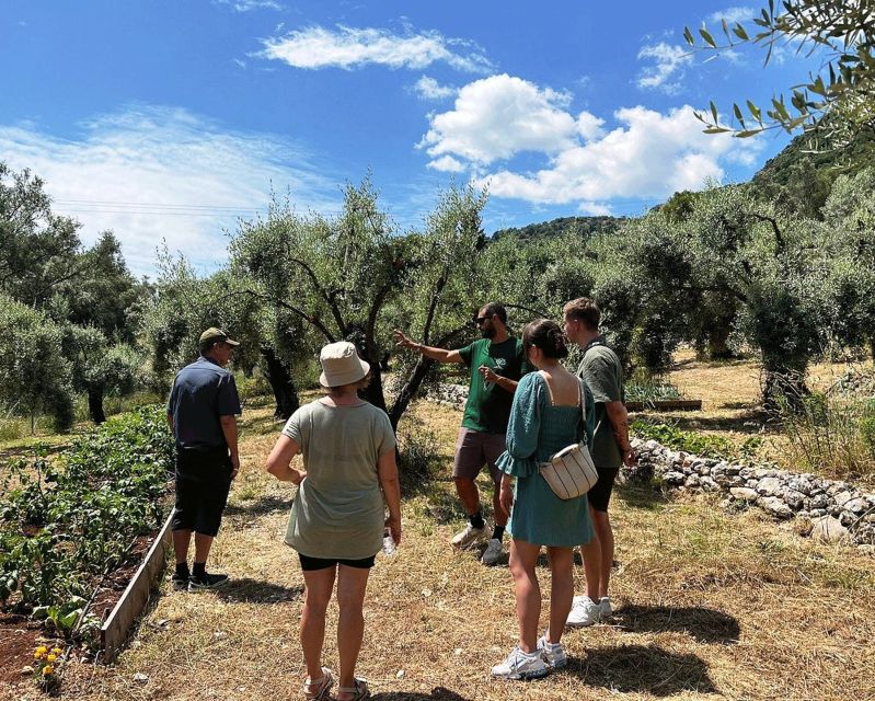 The Olive Oil Experience @ Lefkada Micro Farm - Booking and practical details