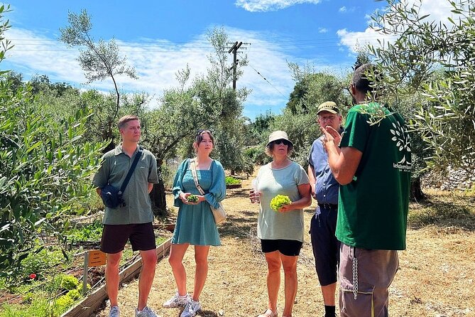 The Olive Oil Experience @ Lefkada Micro Farm - Why this Lefkada olive oil tour is different