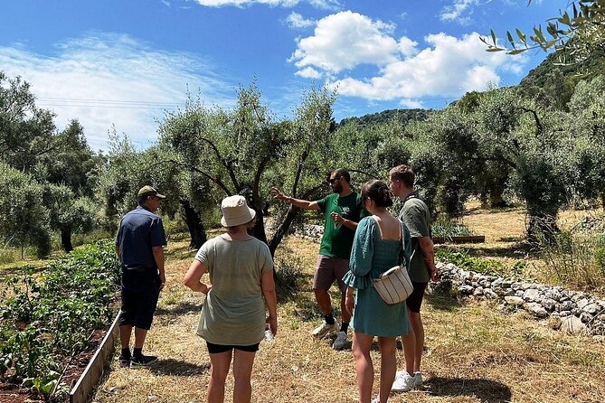 The Olive Oil Experience @ Lefkada Micro Farm - What the 90-minute itinerary feels like