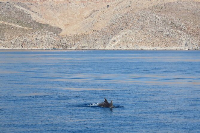 The Santa Maria 3 Island Cruise in the Aegean w/ Free Audio Guide - Pserimos gives you 40 minutes of beach time