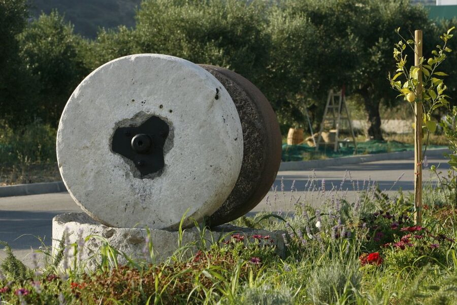 The Terra Creta Olive Oil Experience Tour - Why olive oil makes a good Crete tour