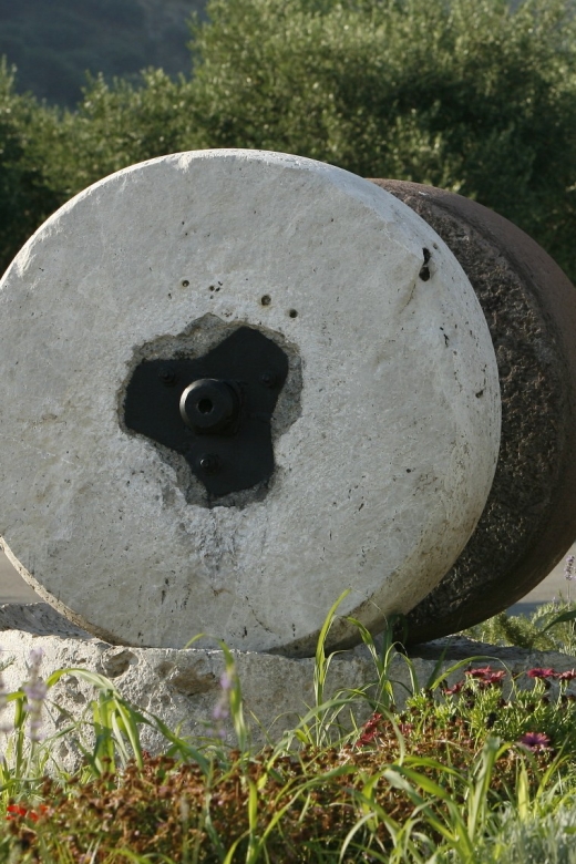 The Terra Creta Olive Oil Experience Tour - What you can buy in the shop