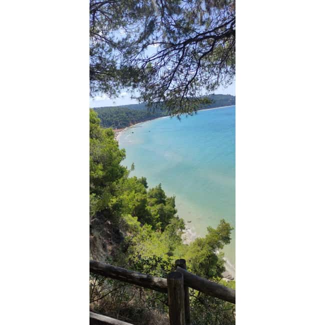 Thessaloniki: Halkidiki Beach-Hopping with Swimming - What Michael and Dora add to the day