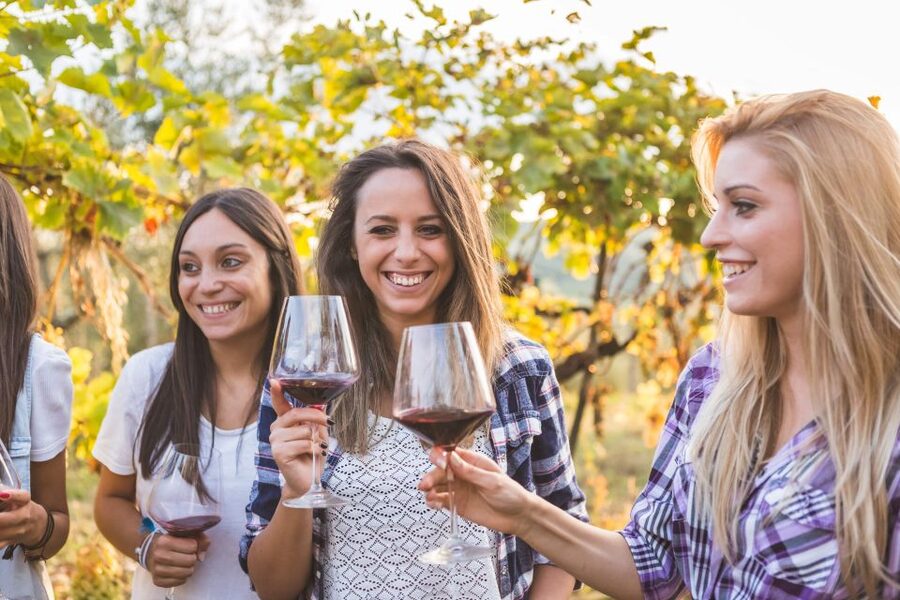 Vineyard Sips: Family Winery Tour & Gourmet Tasting in Corfu - Who will enjoy this experience most