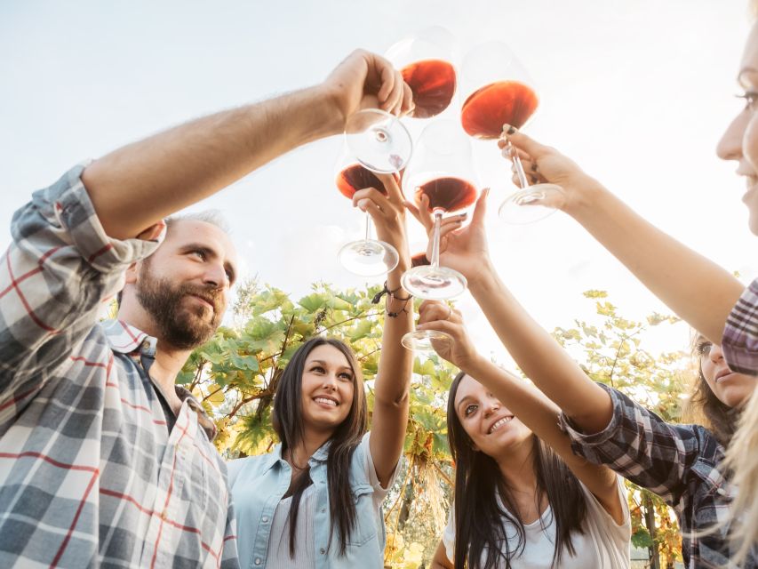 Vineyard Sips: Family Winery Tour & Gourmet Tasting in Corfu - Should you book the Corfu winery tour?