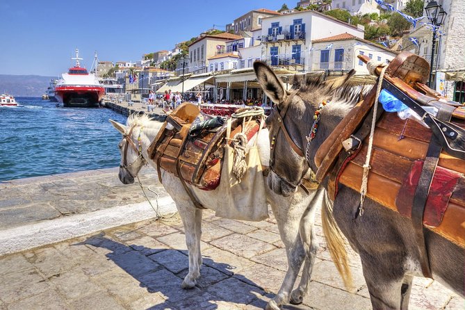 VIP Day Cruise from Athens to Hydra, Poros and Aegina - Practical advice before you go