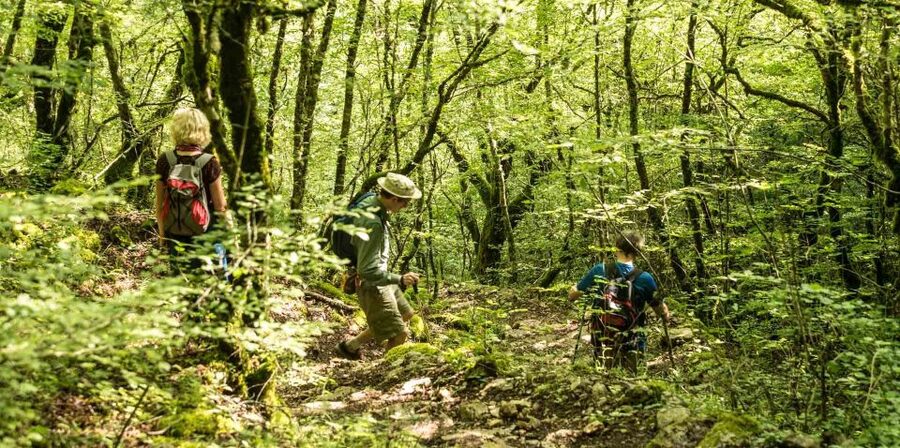Zagori: Vikos Gorge full-day guided hike - The Voidomatis Springs and the cold-water challenge