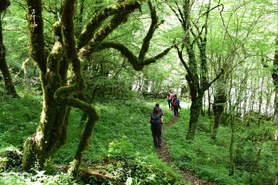 Zagori: Vikos Gorge full-day guided hike - Starting at Monodendri and heading downhill