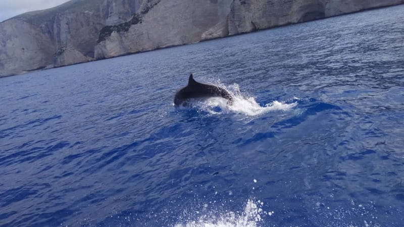 Zakynthos: Shipwreck Beach, Viewpoint, Blue Caves Day Tour - White Beach supplies the best swim stop