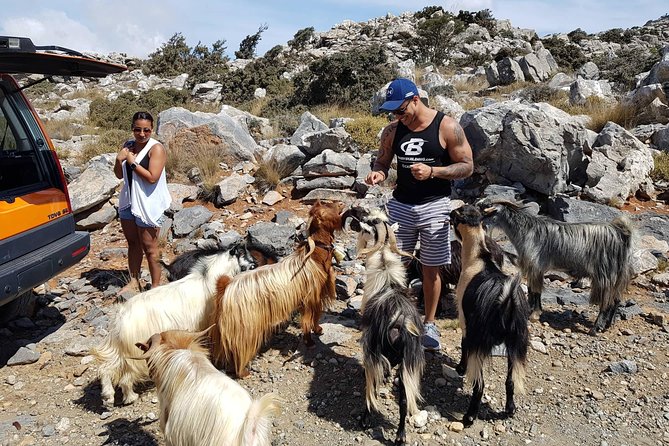Zeus Cave, Lassithi Plateau, Olive Oil Factory, Kritza, Pottery - Pottery and lunch at a local taverna